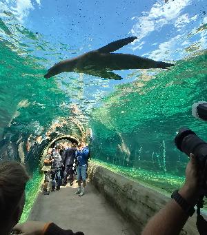Leipzig: Ein Jahr voller Meilensteine -Terrarium, Vogelwelten & Feuerland